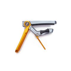 Item thumbnail for item 1fa1098c-c09d-47d1-8112-28e624ef434f