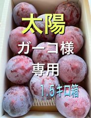 山梨県産スモモ(太陽) 訳あり１.５キロ箱　ガーコ様専用