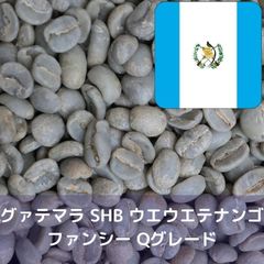 コーヒー生豆 グァテマラSHBウエウエテナンゴファンシー Qグレード1kg