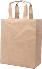 Item thumbnail for item 26cec539-de5e-4c68-8562-7bbca30eee4b