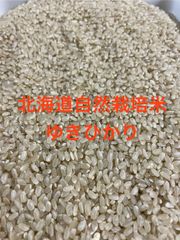 新潟米 ゆきの精玄米10kg - メルカリ