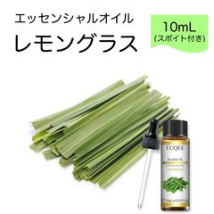 レモングラス Cymbopogon citratus スポイト付 10ml EUQEE 高品質 PREMIUM GRADE 柑橘 シトラス