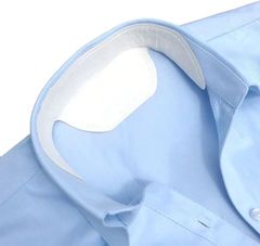 Item thumbnail for item 1943d6c7-3e29-4445-a7fe-a1441bf11afc