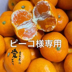 ピーコ様専用　　愛媛産温室ハウスみかん　赤秀（贈答）5kg   クール便