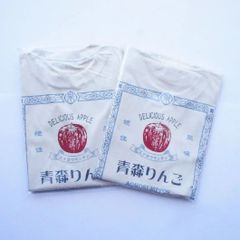 レトロりんごTシャツ