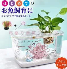水盤大きいメダカ金魚花器アンティーク玉堂作
