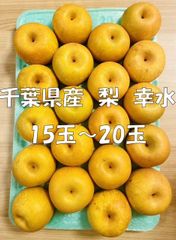 【ご家庭用　訳あり】梨　幸水　５㎏前後　15玉～20玉（千葉県産）送料込