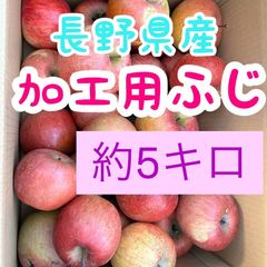 【加工用】長野県産　ふじ　約５キロ　送料無料