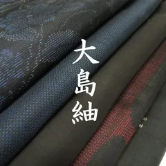のび犬❣️正絹 本場大島紬、正絹夏絽縮緬江戸小紋２点纏めセット 大島紬 正絹 身丈144.5cm L 裄68cm 着物 羽織 セット