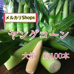 ヤングコーン100本 皮付きヤングコーン（100本サイズ） 【業務用食材の仕入れなら
