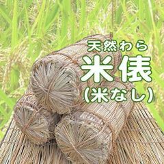 希少ぼっち立て 天日干しコシヒカリ10kgR7年産新米長野県産＋おまけ 食品