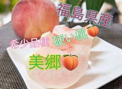 福島県産 硬い桃 美郷 モモ もも　桃