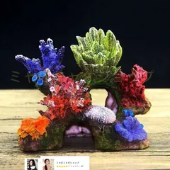 2025年最新】珊瑚オブジェの人気アイテム - メルカリ