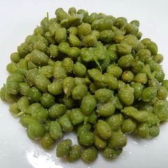 枝取りアク抜き済み！　北秋田阿仁産手作り塩蔵実山椒50ｇ