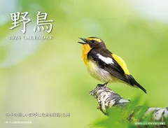 2024年最新】野鳥の人気アイテム - メルカリ