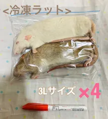 冷凍ラット(国産) 50~65g 100匹セット 冷凍ラット(国産) 50~65g 100匹セット
