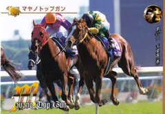 マヤノトップガン：第115回 天皇賞(春)「サラブレッドカード 97年上半期版」No.008