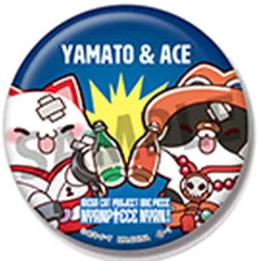 ワンピース エース 頂上戦争 缶バッジ 2点 ONE PIECE』コレクション缶バッジ“HEROES