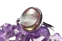 Item thumbnail for item c754be65-8115-4b13-98f3-9a294afce62b