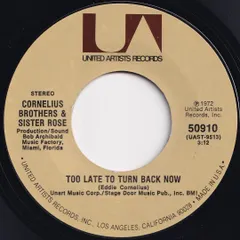 希少！新品未使用　コーネリアス　12インチレコード 2025年最新】Yahoo!オークション -コーネリアス レコード(音楽)の中古