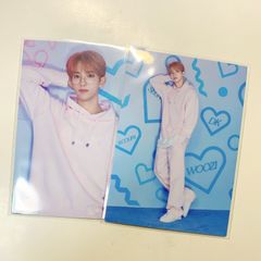 SEVENTEEN セブチ ドギョム DK トレカ ペンミ ペンミトレカ 2枚セット