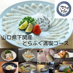 山口県下関産とらふぐのふぐちり（てっちり）てっさセット2人前