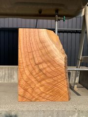 センダン 栴檀 一枚板 35cm 板材 木材 [592]