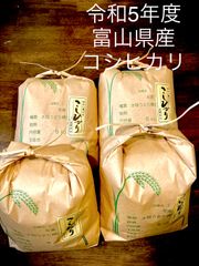 富山県産 新米コシヒカリ お米 20キロ 令和5年産 - 米