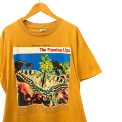 90s ビンテージ The Flaming Lips Musical Insects 両面プリント バンド Tシャツ Lサイズ USA製 90年代 フレーミングリップス ロックT バンT