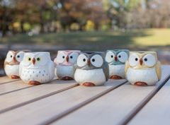 美濃焼 日本製 フクロウマグカップ 320ml （色：グレー、ピンク、ブラウン、イエロー、ホワイト、グリーン）