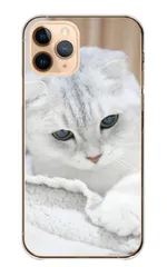 iPhone14Pro ケース ハードケース アイフォン14 プロ スマホケース 猫 ネコ 白猫  スコティッシュフォールド マンチカン 写真 可愛い オシャレ おしゃれ くすみ ベージュ カラー02