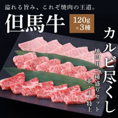 【但馬牛・A5ランク雌牛】黒毛和牛焼肉セット カルビ3種盛り 360g（ギフト・贈答・BBQに）