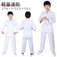 Item thumbnail for item 1938c84e-901a-4d66-aaa7-820319a4ef6e