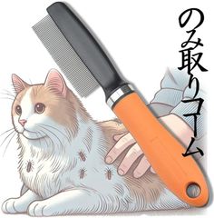 Item thumbnail for item 49eae894-b713-4776-8941-c637d49b1e10