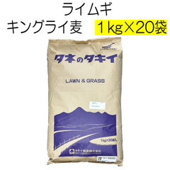 ライムギ種子　キングライ麦　20kg　タキイ種苗【種】ライ麦　緑肥の種　おもに秋まき