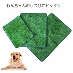 Item thumbnail for item 0bf58f69-48b5-47e3-8e17-b4b6ea9d8730