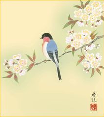 四季絵色紙4枚セット-花鳥四趣