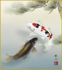 色紙  色紙掛けなし 色紙絵  和風 松下遊鯉  モダン 掛軸 床の間 和室 おしゃれ 壁掛け 絵