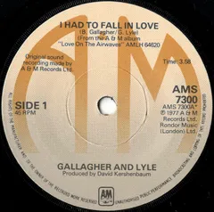 Gallagher And Lyle UK盤レコード gallagher-and-lyle-heart-on-my