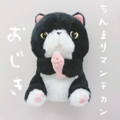 ひげまんじゅう　ツチネコ　ちんまりマンチカン　ぬいぐるみ　猫 ひげまんじゅう ツチネコ ちんまりマンチカン ぬいぐるみ 猫