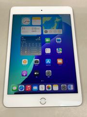 美品 電池81%SIMフリー apple iPad mini (第５世代) Wi-Fi + Cellular 256GB シルバー