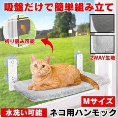 Item thumbnail for item e89db8a0-8c0f-42fc-be35-fca6ea2a40ad