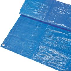 Item thumbnail for item 3d99b7f6-2796-44c7-9506-922837b130ad