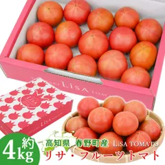 諸木直送 トマト Lisa フルーツトマト 4箱 100日トマト 春野町 高糖度トマト 高知産 高知 糖度8度以上 高知県産 家庭用 ふるーつとまと 約4キロ 宅急便