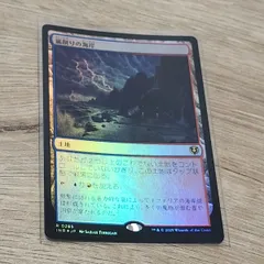 嵐削りの海岸・難破船の湿地・さびれた浜 スローランド12枚 嵐削りの海岸・難破船の湿地・さびれた浜 スローランド12枚 嵐