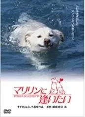 【未使用】【レア】1988年　映画『マリリンに逢いたい』ペンケース 2025年最新】マリリンに逢いたいの人気アイテム - メルカリ