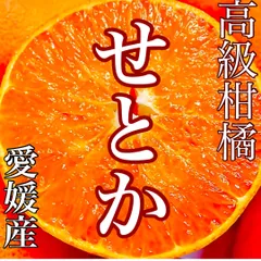 みかん　せとか　  1.3〜1.5キロ　サイズM〜2L　愛媛産　秀品家庭用込のサムネイル