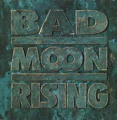 2025年最新】bad moon risingの人気アイテム - メルカリ