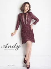 ワインレッド[OK2666-WinRBE-2210]ANDY/ アンディ/ 総レース/ ドットレース/ リボン/ 長袖/ 七分袖/ 袖あり/ ハイネック/ フレア/ Aライン/ ミニドレス/ キャバドレス / パーティー ワンピース / 結婚式