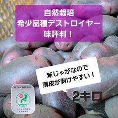 【値下げセール中❗】薄皮が剥けやすい！？新じゃが希少品種デストロイヤー　2キロ